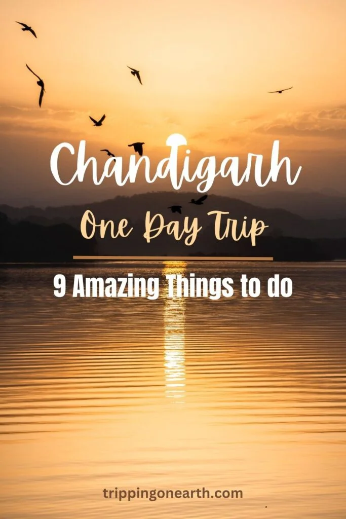 chandigarh one day trip, 9 amazing things to do