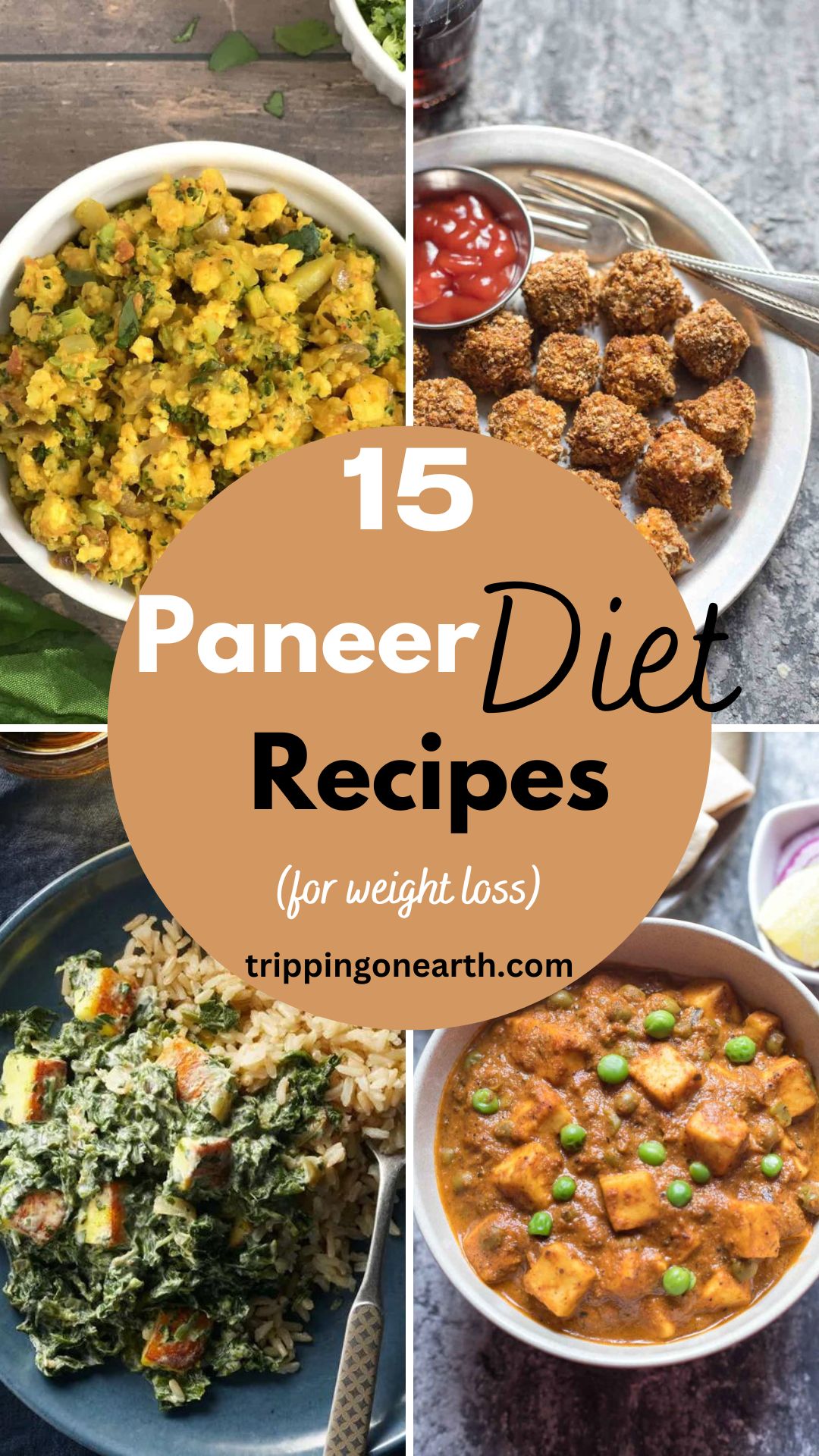 15 Healthy Paneer Diet Recipes For Weight Loss - Tripping On Earth