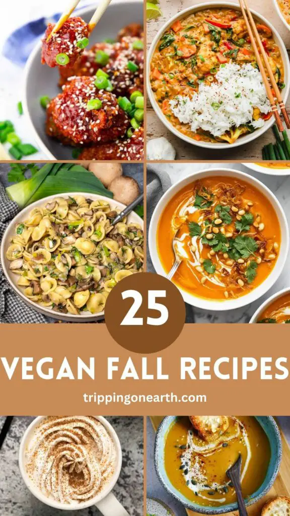 vegan fall recipes pin 3