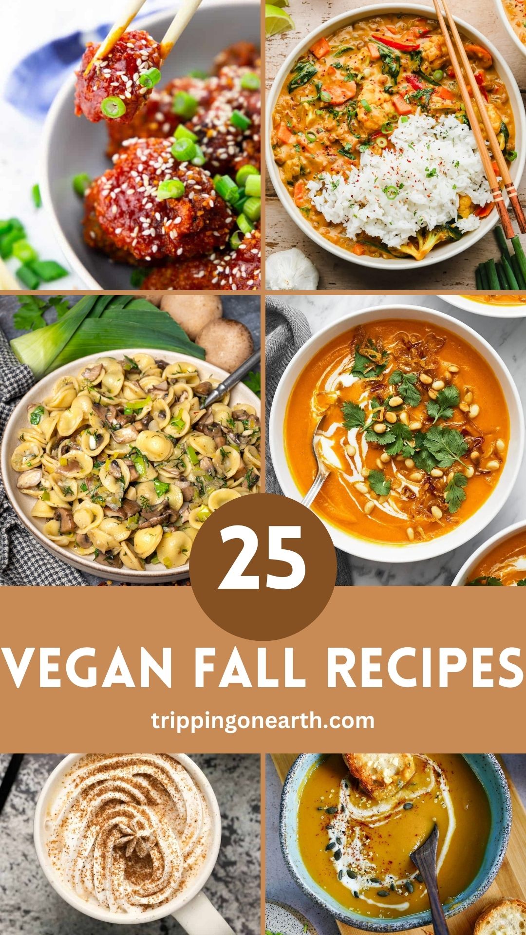 25 Vegan Fall Recipes For The Ultimate Cozy Experience - Tripping On Earth