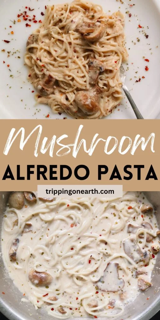 mushroom alfredo pasta pin