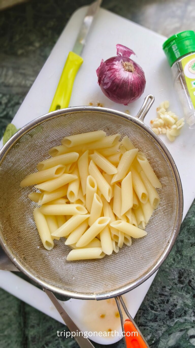 Easy and Simple Marinara Sauce Penne Pasta - Tripping On Earth