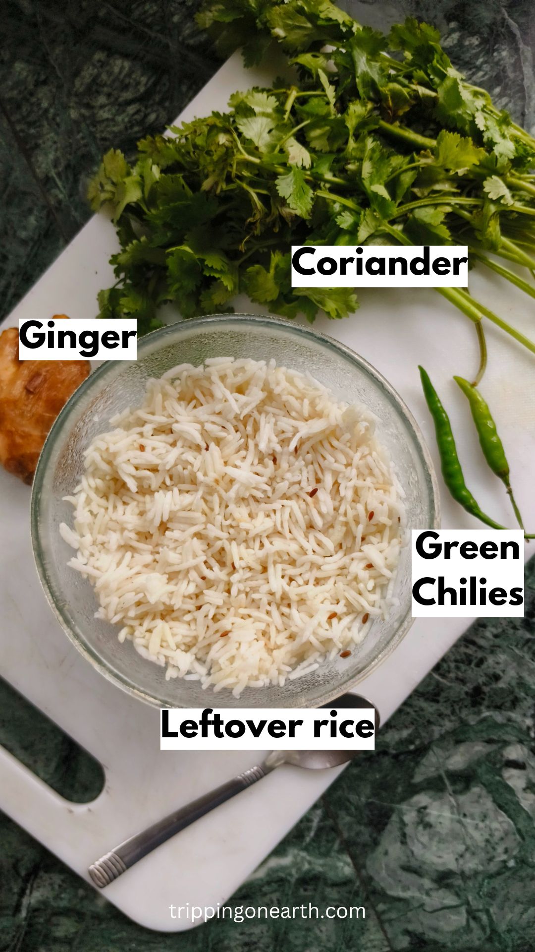 Ginger Rice Recipe - Tripping on Earth