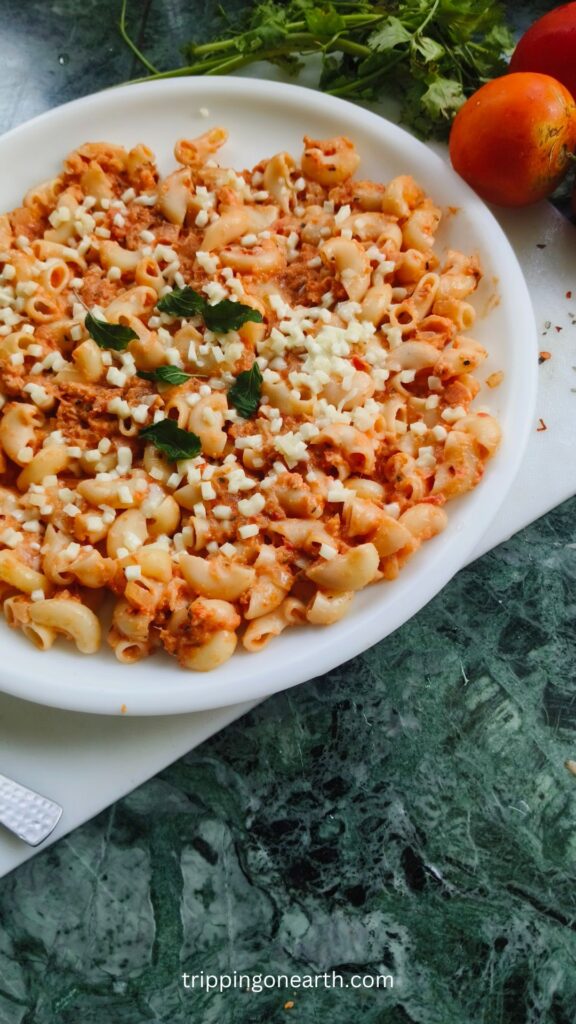 Macaroni Pasta with tomato alfredo sauce