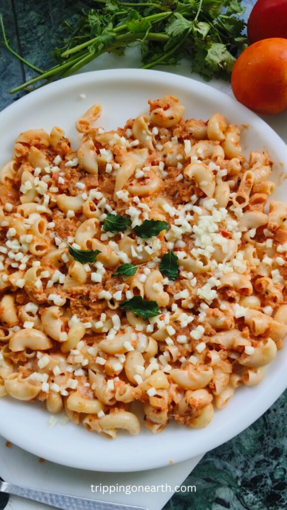 Macaroni Pasta with tomato alfredo sauce