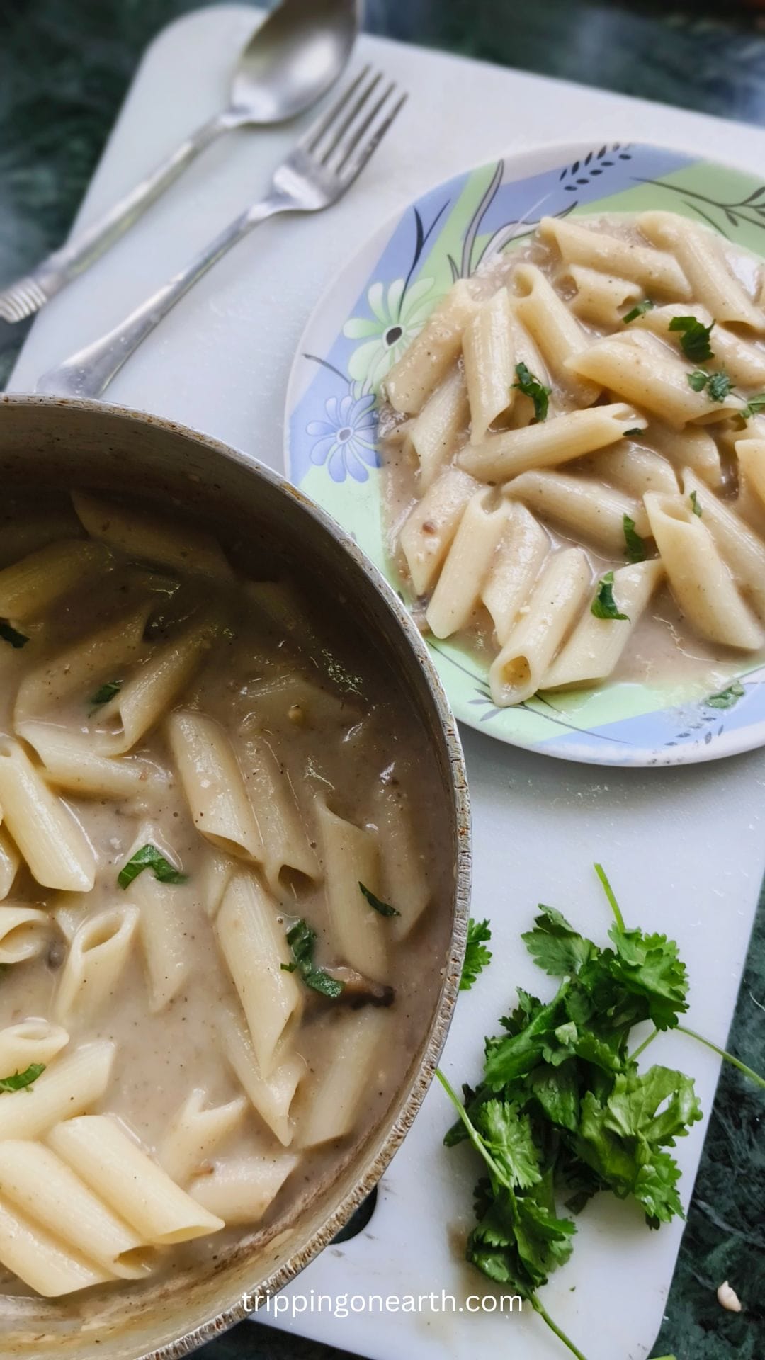 Easy And Delicious Mushroom Soup Pasta - Tripping On Earth