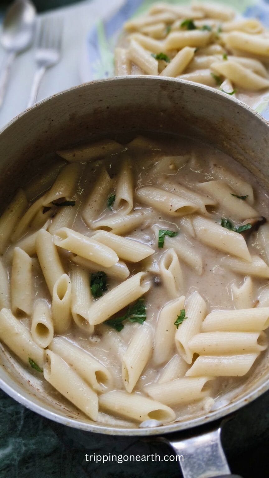 Easy And Delicious Mushroom Soup Pasta - Tripping On Earth