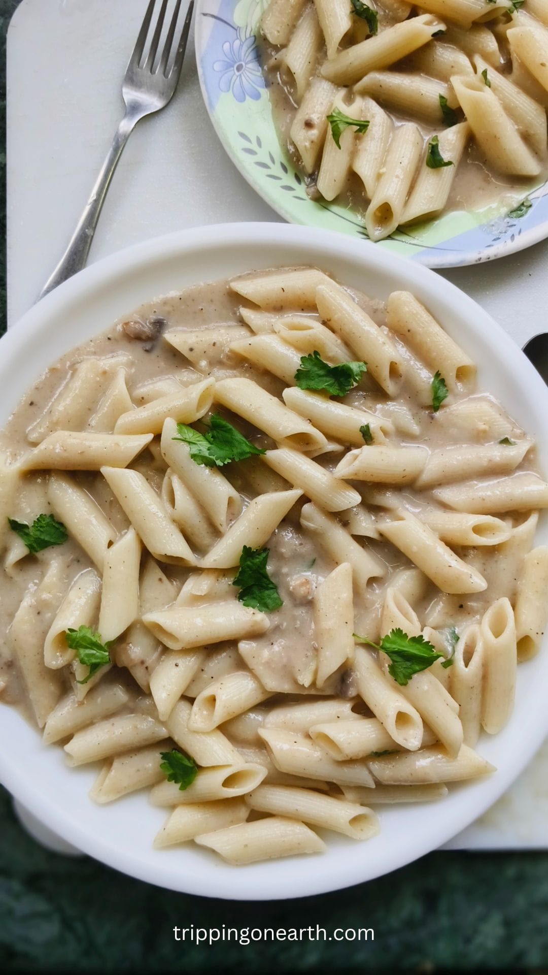 Easy and delicious mushroom soup pasta tripping on earth