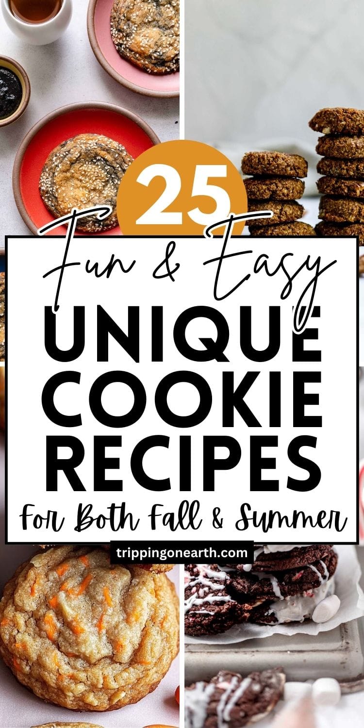 25 Fun And Unique Cookie Recipes (Best For Xmas!) - Tripping on Earth