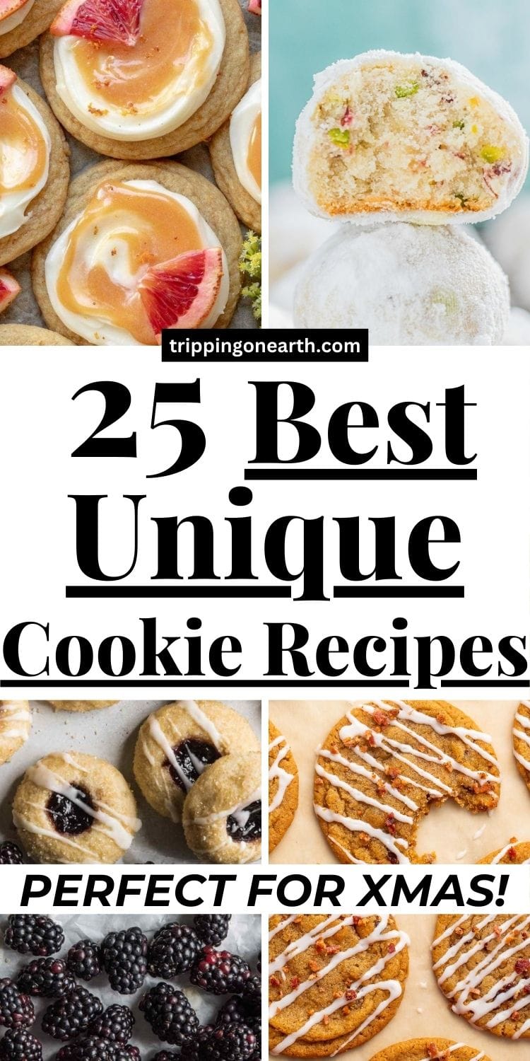 25 Fun And Unique Cookie Recipes (Best For Xmas!) - Tripping on Earth