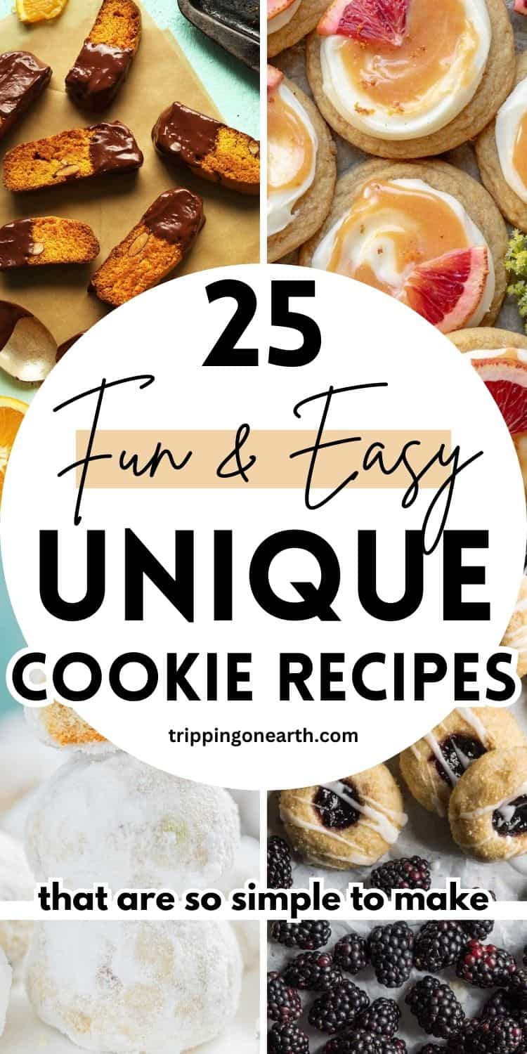 25 Fun And Unique Cookie Recipes (Best For Xmas!) - Tripping on Earth