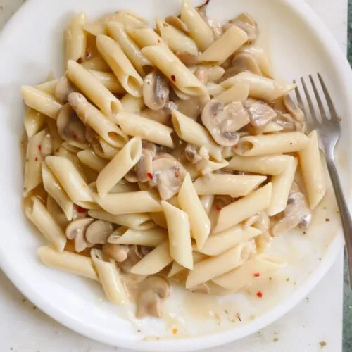 vegan mushroom stroganoff on a white plate